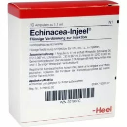 ECHINACEA INJEEL Ampullen, 10 St