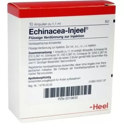 ECHINACEA INJEEL Ampullen, 10 St ECHINACEA INJEEL Ampullen, 10 St
