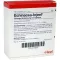 ECHINACEA INJEEL Ampullen, 10 St