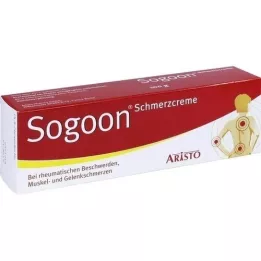 SOGOON Schmerzcreme, 100 g