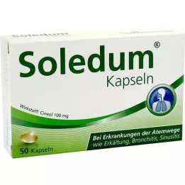 SOLEDUM 100 mg magensaftresistente Kapseln, 50 St
