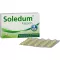 SOLEDUM 100 mg magensaftresistente Kapseln, 50 St