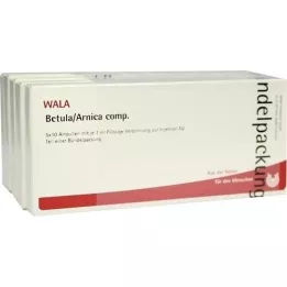 BETULA/ARNICA comp.Ampullen, 50X1 ml
