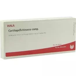 CARTILAGO/Echinacea comp.Ampullen, 10X1 ml