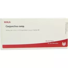 CONJUNCTIVA comp.Ampullen, 10X1 ml