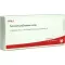 PERIODONTIUM/STANNUM comp.Ampullen, 10X1 ml