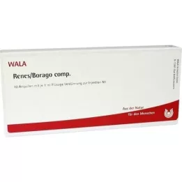 RENES/BORAGO comp.Ampullen, 10X1 ml