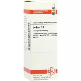 LEDUM D 2 Dilution, 20 ml