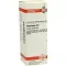 PHYTOLACCA D 6 Dilution, 20 ml