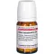 RHUS TOXICODENDRON D 12 Tabletten, 80 St