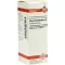 RHUS TOXICODENDRON D 12 Dilution, 20 ml