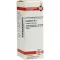CAMPHORA D 3 Dilution, 20 ml