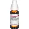 CAMPHORA D 3 Dilution, 20 ml