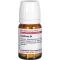 CANTHARIS D 4 Tabletten, 80 St
