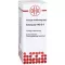 ECHINACEA HAB D 6 Dilution, 20 ml