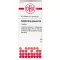 GALPHIMIA GLAUCA D 4 Tabletten, 80 St