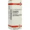 HARPAGOPHYTUM PROCUMBENS D 6 Dilution, 20 ml