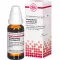 HARPAGOPHYTUM PROCUMBENS D 6 Dilution, 20 ml