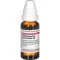 HARPAGOPHYTUM PROCUMBENS D 6 Dilution, 20 ml