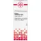 KALIUM CARBONICUM D 12 Dilution, 20 ml