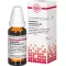 GNAPHALIUM POLYCEPHALUM D 3 Dilution, 20 ml