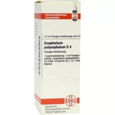 GNAPHALIUM POLYCEPHALUM D 4 Dilution, 20 ml