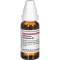 COLLINSONIA CANADENSIS D 1 Dilution, 20 ml
