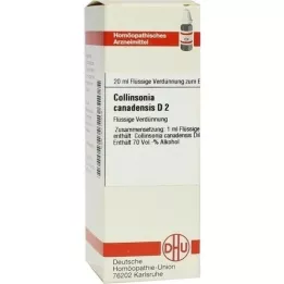 COLLINSONIA CANADENSIS D 2 Dilution, 20 ml