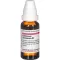 COLLINSONIA CANADENSIS D 2 Dilution, 20 ml