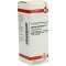 CARDUUS MARIANUS D 1 Dilution, 20 ml