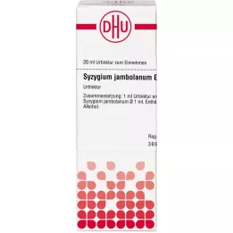 SYZYGIUM JAMBOLANUM Urtinktur D 1, 20 ml