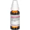 SYZYGIUM JAMBOLANUM Urtinktur D 1, 20 ml