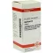 AGARICUS D 6 Tabletten, 80 St
