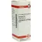AESCULUS D 6 Dilution, 20 ml