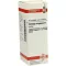 SOLIDAGO VIRGAUREA Urtinktur, 20 ml