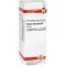 SALVIA OFFICINALIS Urtinktur, 20 ml