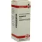 HAMAMELIS Urtinktur, 20 ml