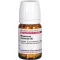 MAGNESIUM CHLORATUM D 6 Tabletten, 80 St