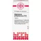 MAGNESIUM PHOSPHORICUM D 12 Tabletten, 80 St