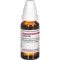 CACTUS D 6 Dilution, 20 ml