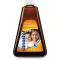 SANOSTOL Saft, 460 ml