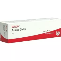 ARNIKA SALBE, 30 g
