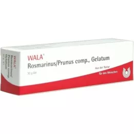 ROSMARINUS/PRUNUS comp.Gel, 30 g