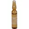 SANUVIS Injektion Ampullen, 10X2 ml