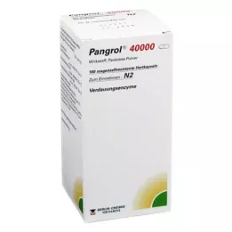 PANGROL 40.000 Hartkps.m.magensaftr.überz.Pell., 100 St