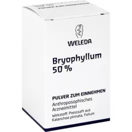 BRYOPHYLLUM 50% Pulver zum Einnehmen, 20 g