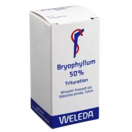 BRYOPHYLLUM 50% Pulver zum Einnehmen, 20 g