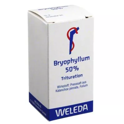 BRYOPHYLLUM 50% Pulver zum Einnehmen, 20 g BRYOPHYLLUM 50% Pulver zum Einnehmen, 20 g