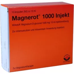 MAGNEROT 1000 Injekt Ampullen, 10X10 ml