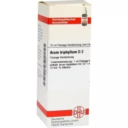 ARUM TRIPHYLLUM D 2 Dilution, 20 ml